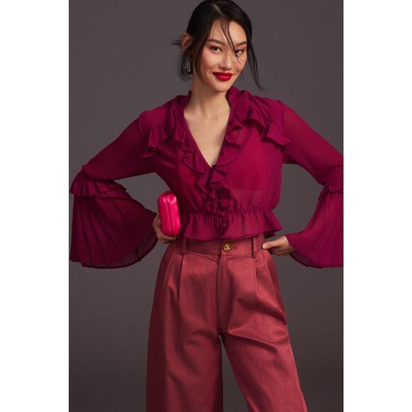 NWT Anthropologie Sheer Blouse - Small - Picture 1 of 6